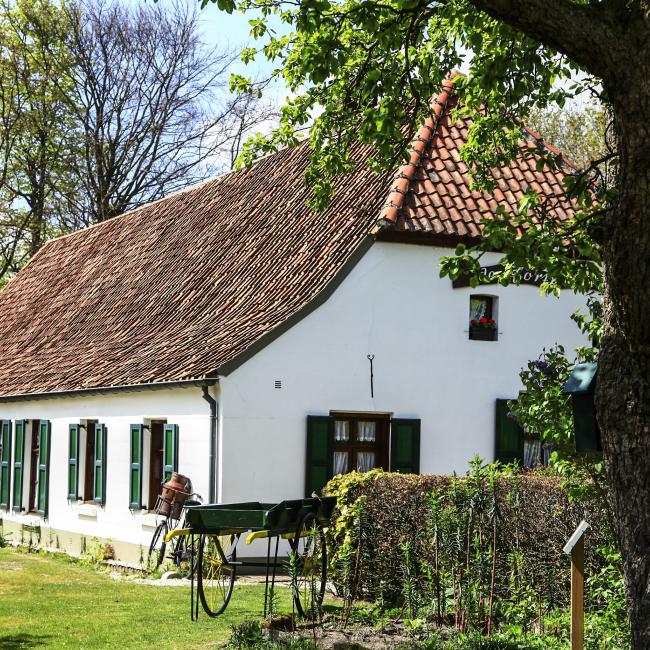 11. Gortmeulepad