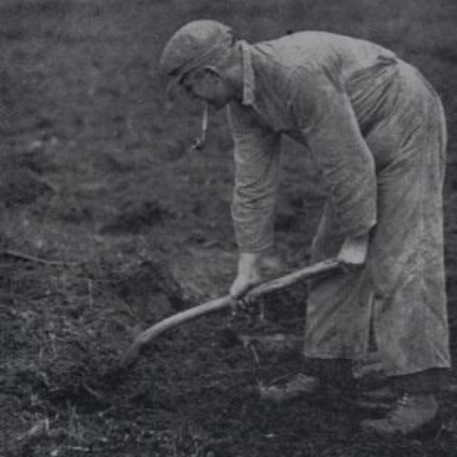 Romerweg