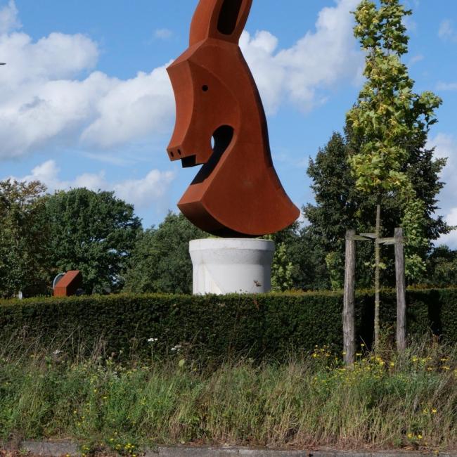 De Zaerumsen Aezel
