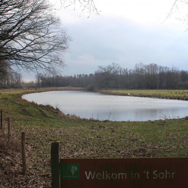 14. Ooijen en 't Sohr