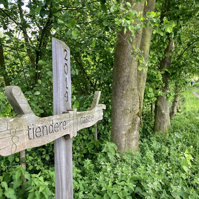 13. Acht van Tienray