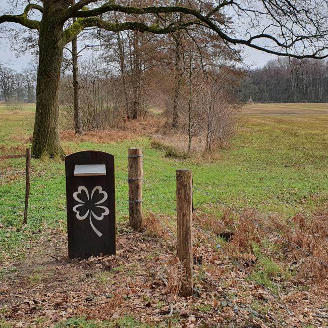 11. Moj Wah-bankje