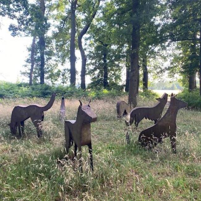 Roedel Honden