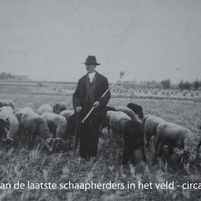 Paardenkop