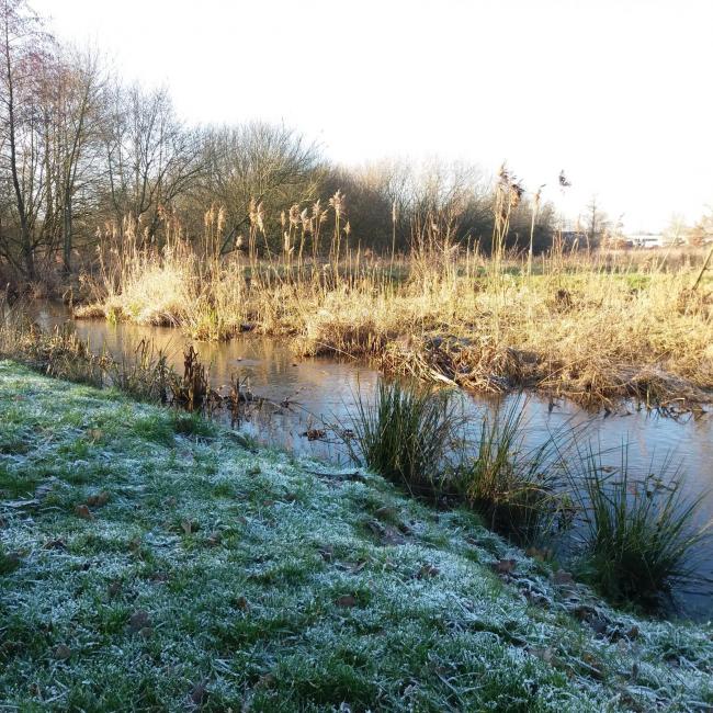 08a. Landschapspad 't Ham