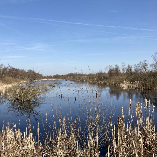 01. Door Peel en Griendtsveen