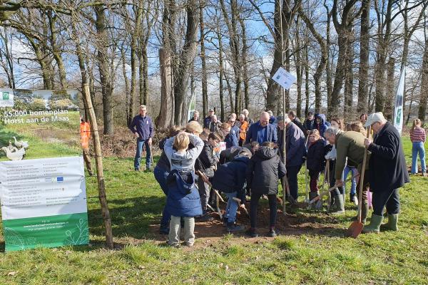 De 55.000 boom is geplant