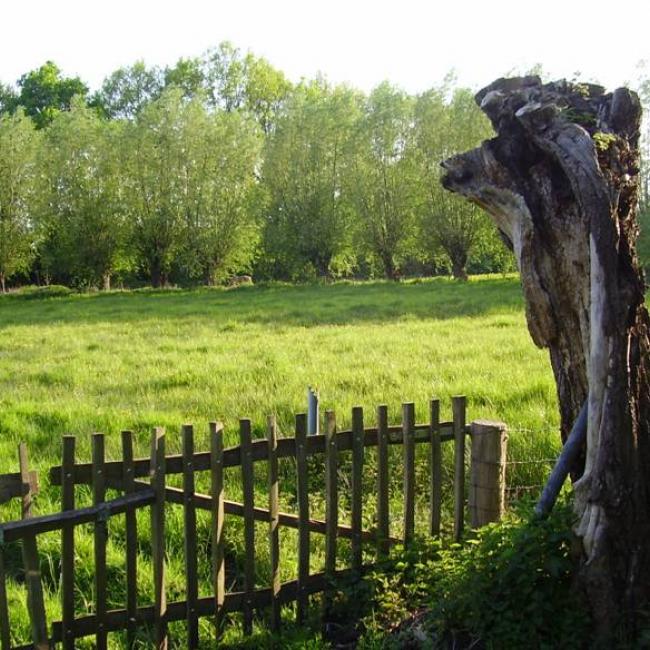 Landschapsroute