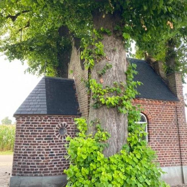 Mariakapel (Risseltkapel)