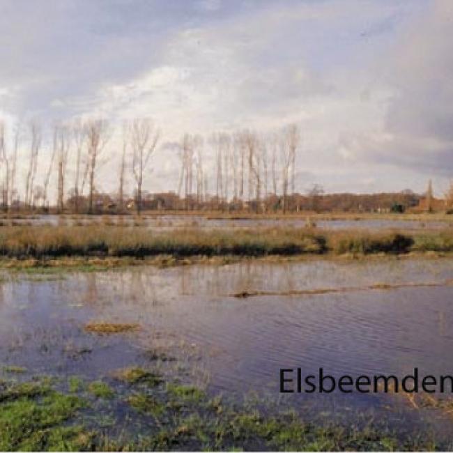 Elsbeemden