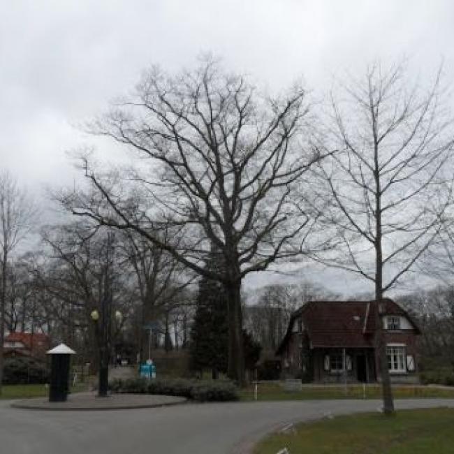 Plein met bakkerij, slagerij, dorpspomp en straatlantaarn