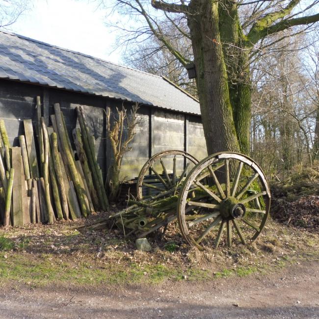 11. Gortmeulepad