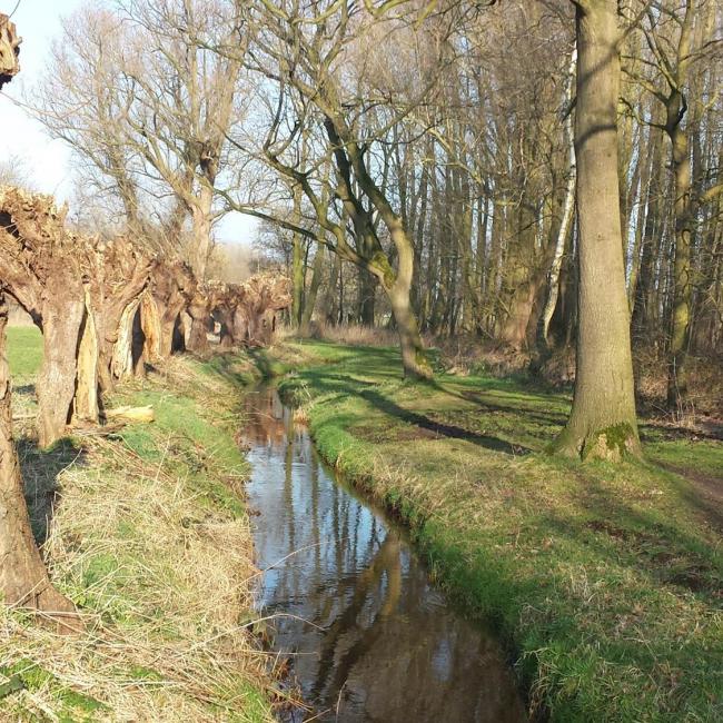 Landschapsroute