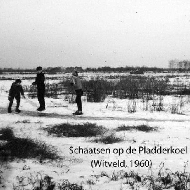 Witveld