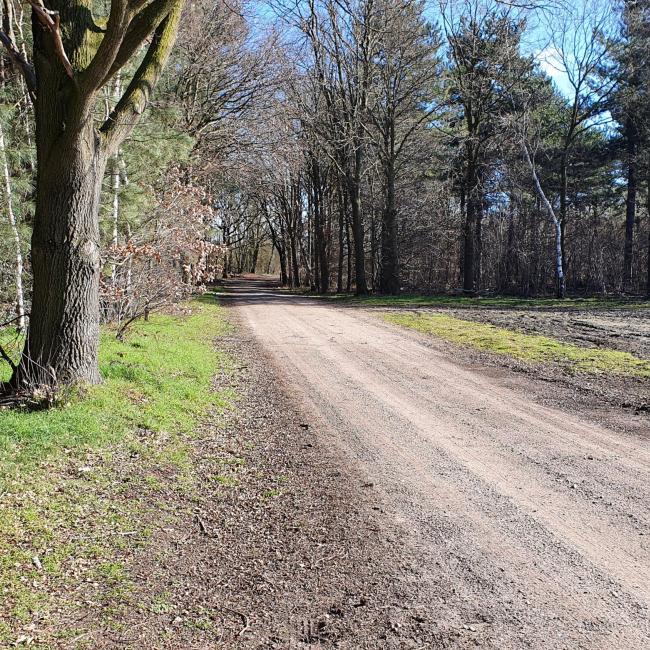 Petranpad doorsteek B