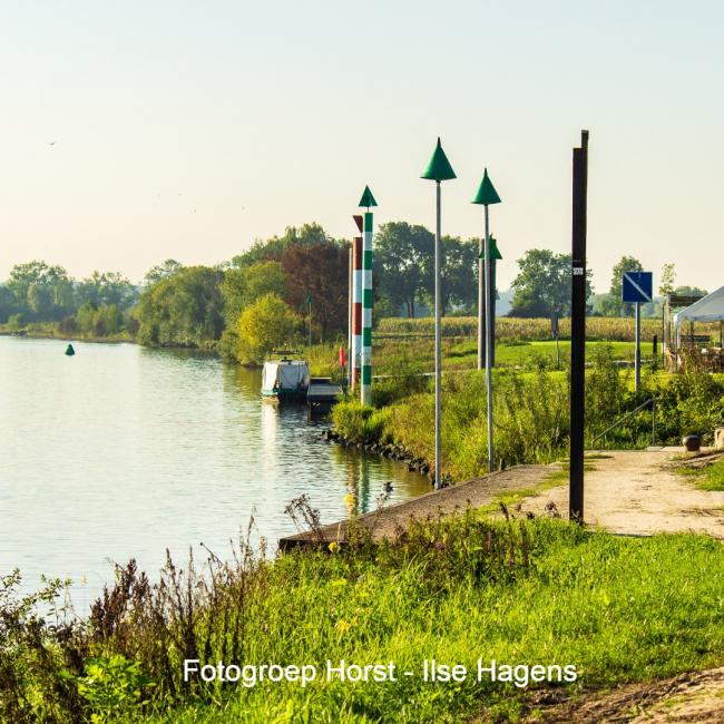6. De Loswal