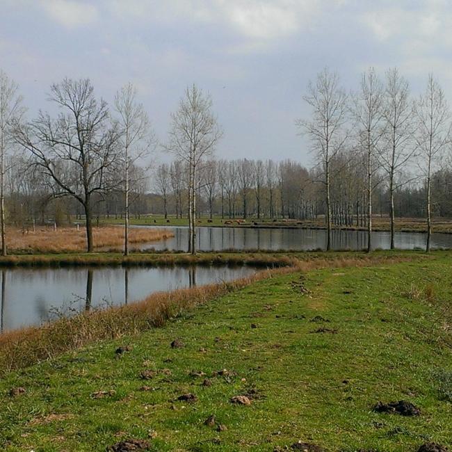 14. Ooijen en 't Sohr
