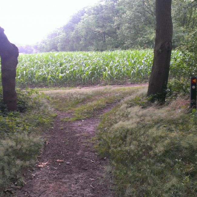 Petranpad doorsteek A: