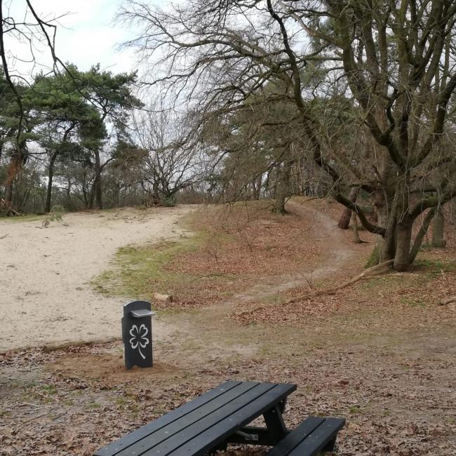 23. Zandberg