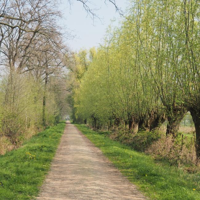 Landschapsroute