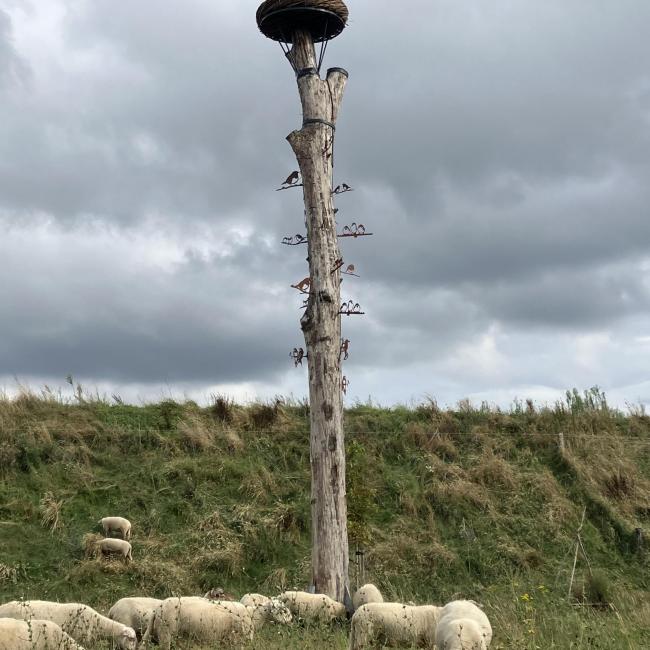 Het Ooievaarsnest onderdeel van Kunstige dieren aan de Zeesweg