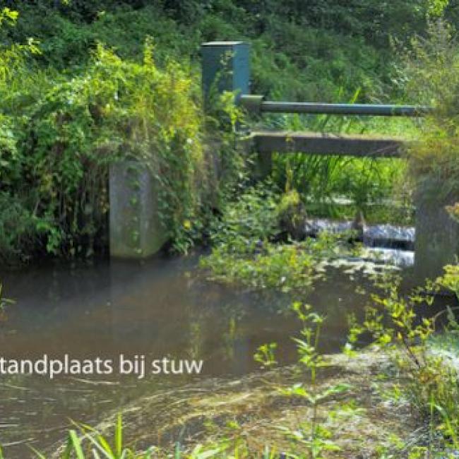Oostrumsche beek
