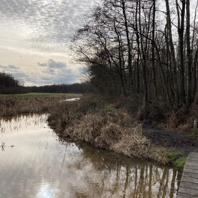 18. Lottumer Schuitwaterroute