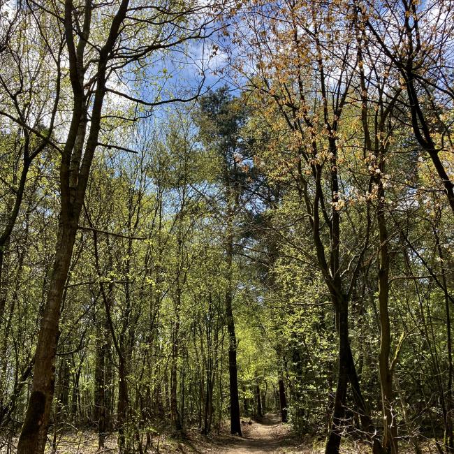Ommetje Steegberg