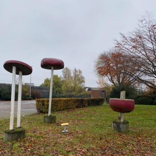 Champignons