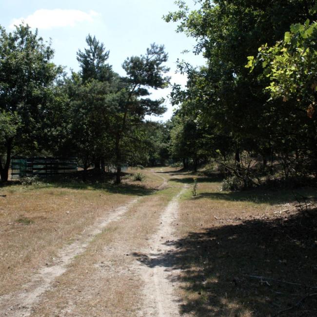 Petranpad doorsteek C