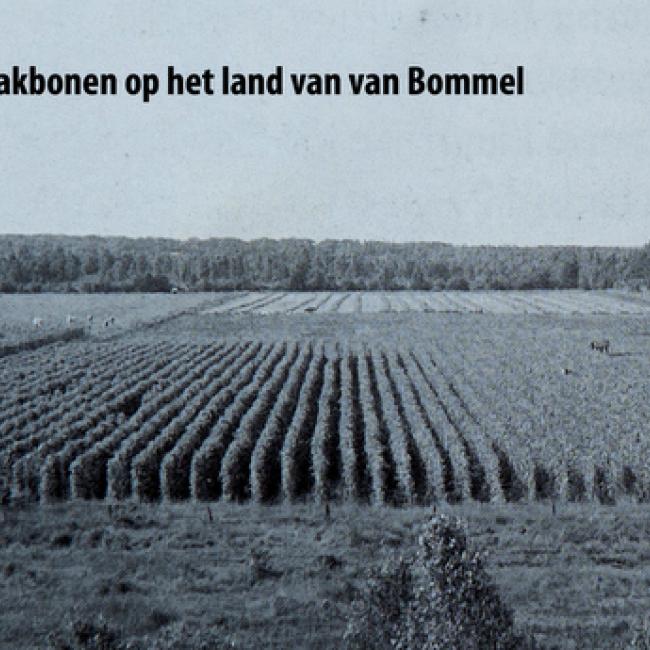 Land van van Bommel