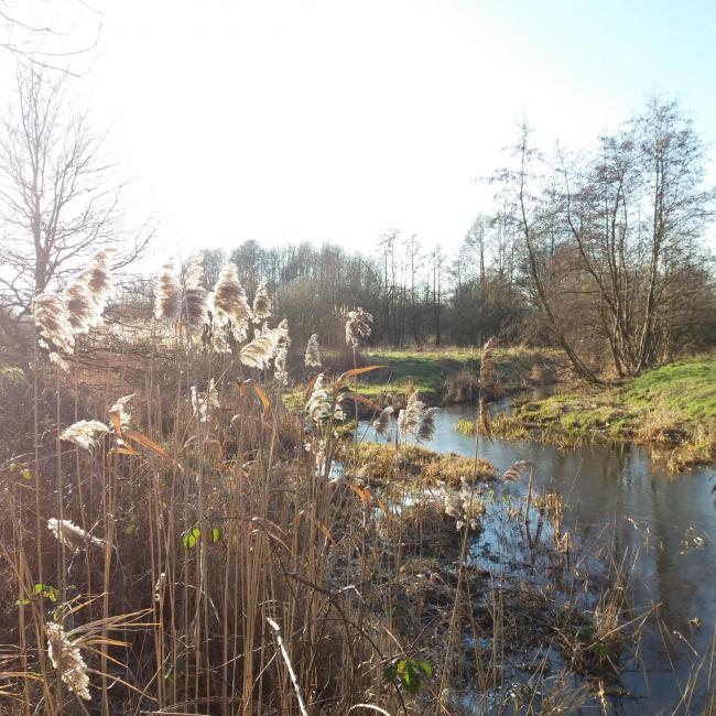 08a. Landschapspad 't Ham