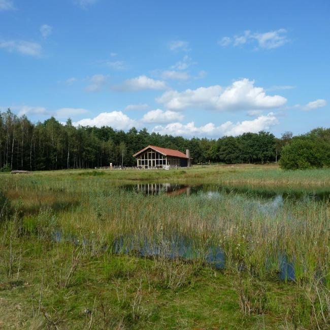 Petranpad doorsteek A: