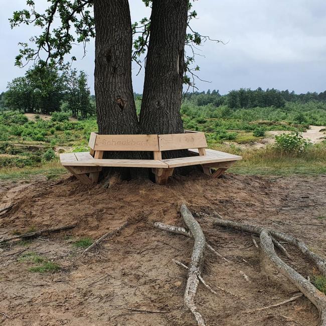 Petranpad doorsteek A: