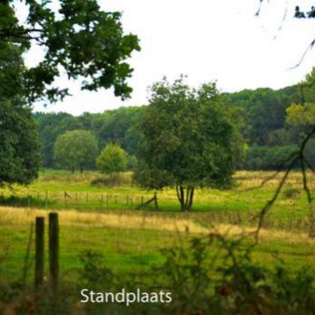 Middenterras