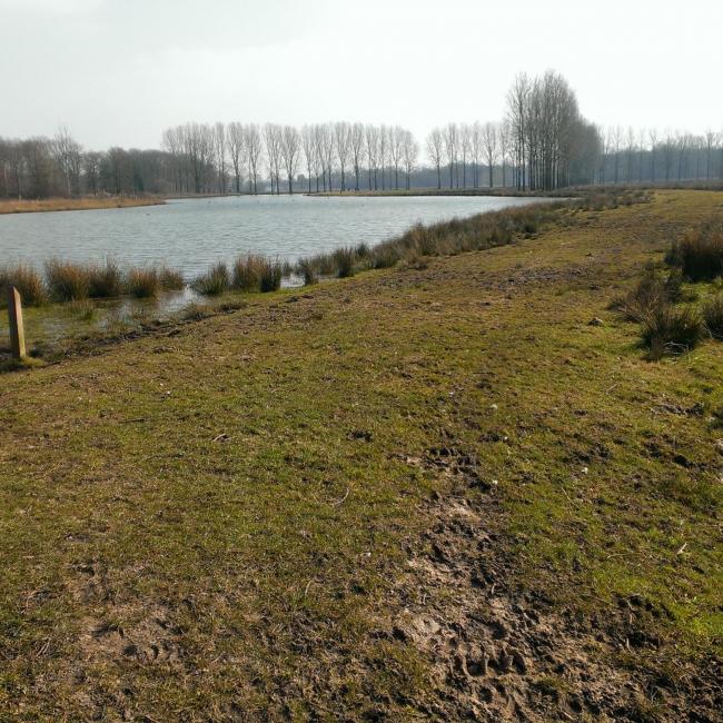 14. Ooijen en 't Sohr