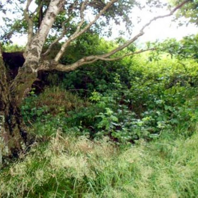 Archeologisch monument