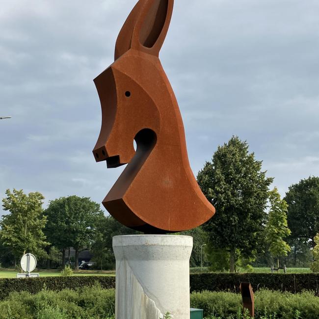 De Zaerumsen Aezel