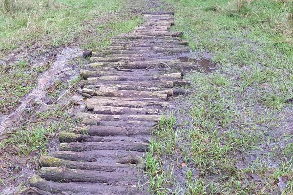 Aanleg ouderwets knuppelpad