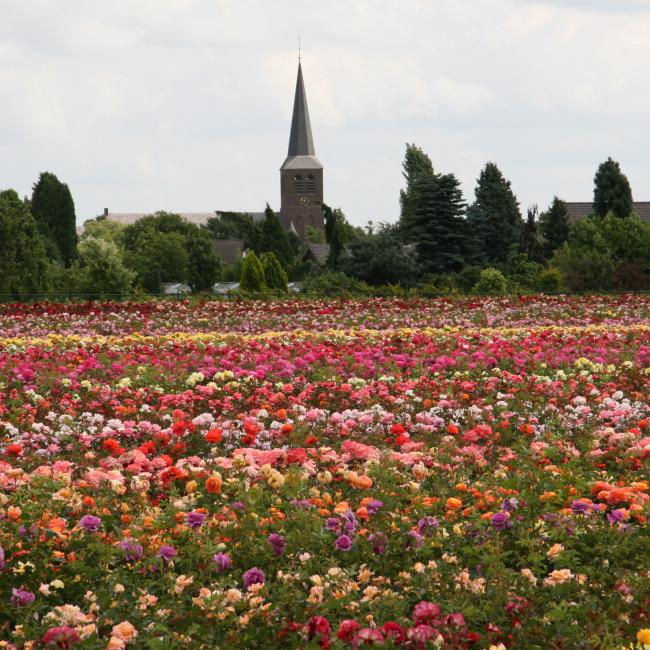 19. Schravenpad naar Kaldenbroek