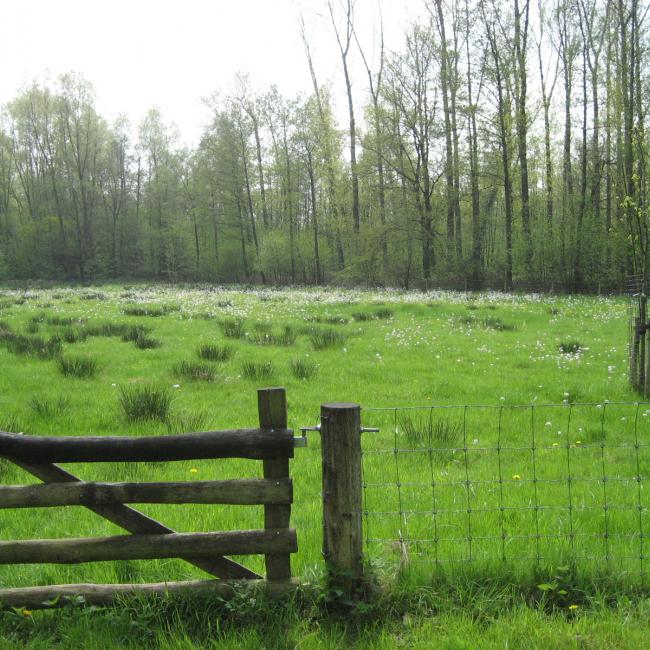 Landschapsroute