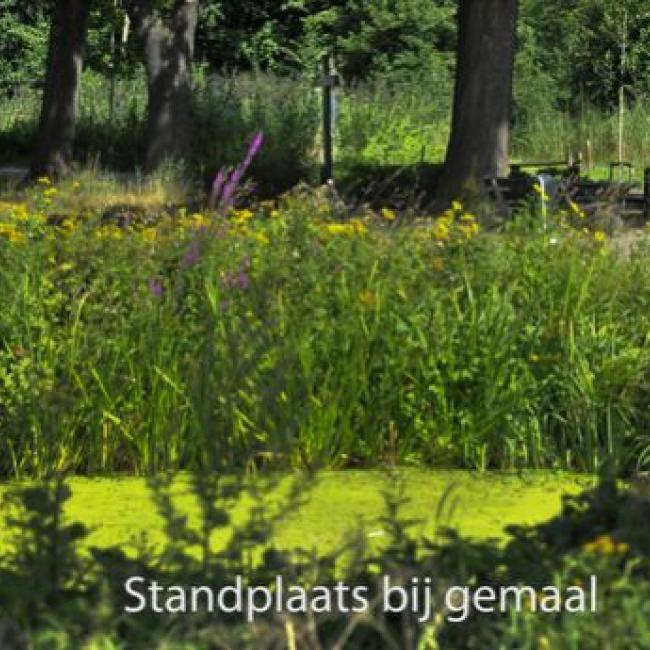 Griendtsveense polder