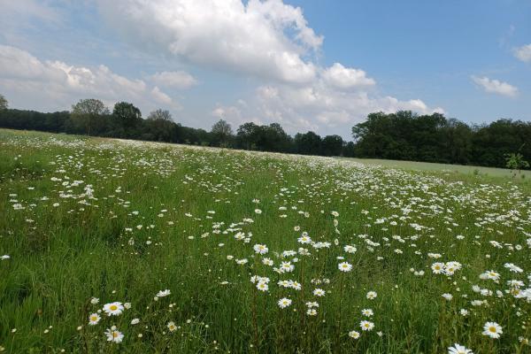 Bloemrijk 2024