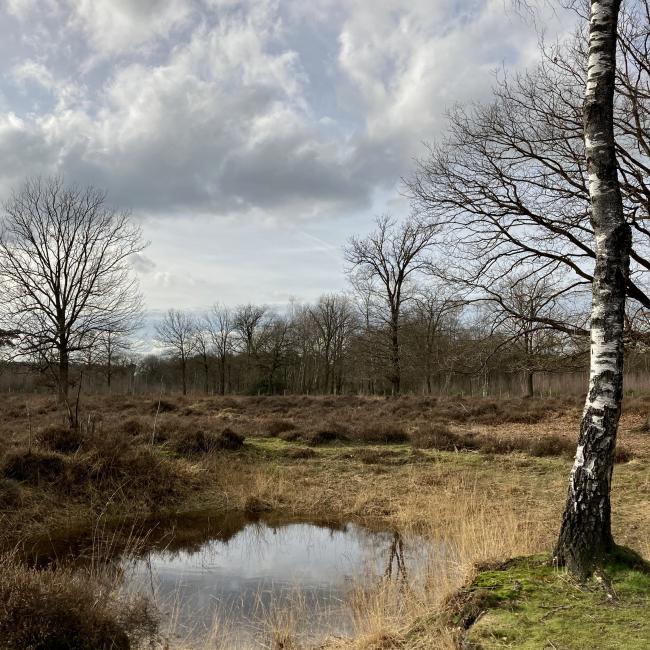 18. Lottumer Schuitwaterroute