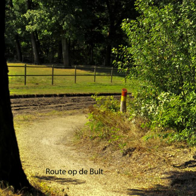 Paardenkop