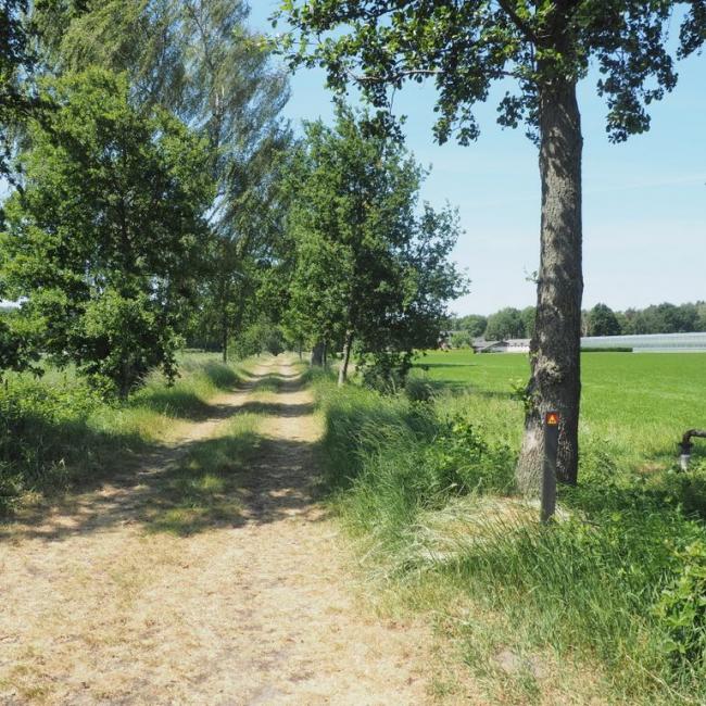 08b. Landschapspad 't Ham en Brommèr