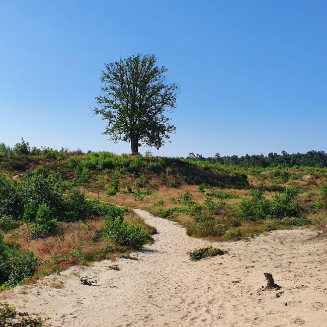 Petranpad doorsteek A: