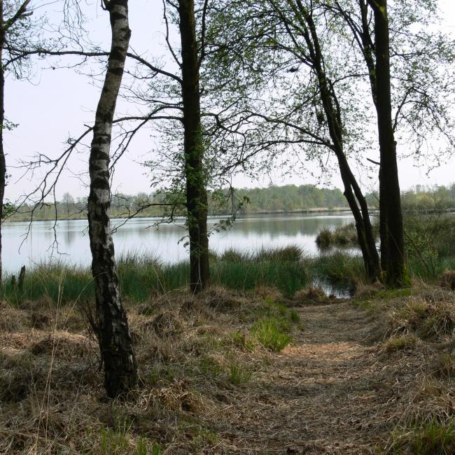 02. Rondje door Peelgebied Mariaveen - Evertsoord