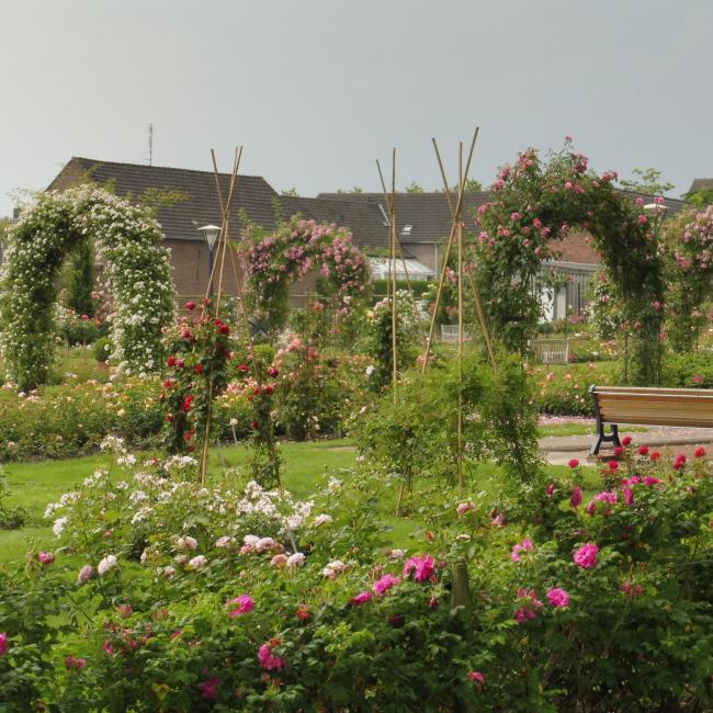 19. Schravenpad naar Kaldenbroek