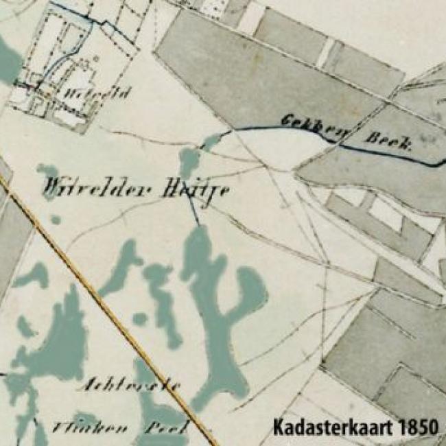 Witveld